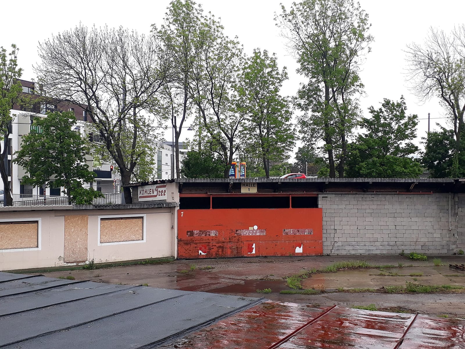 Szihn photo 2