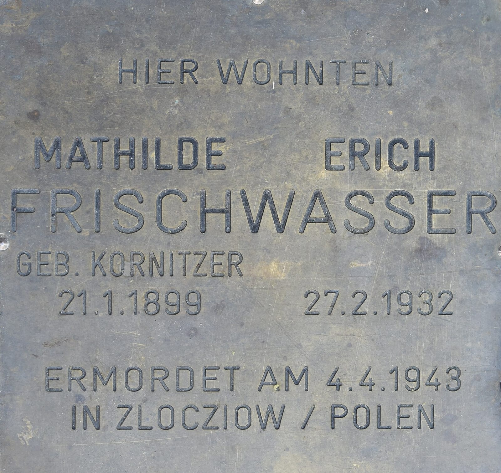 Szihn photo 3