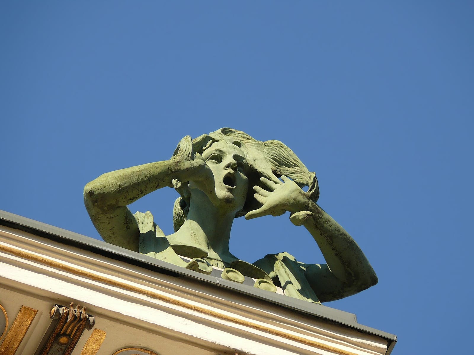 Café Savoy photo 3