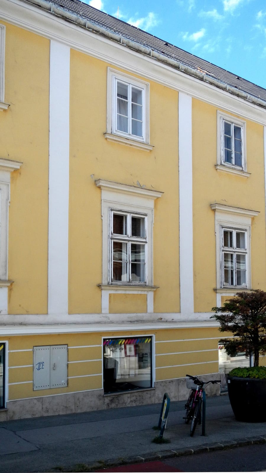 Heiner photo 2