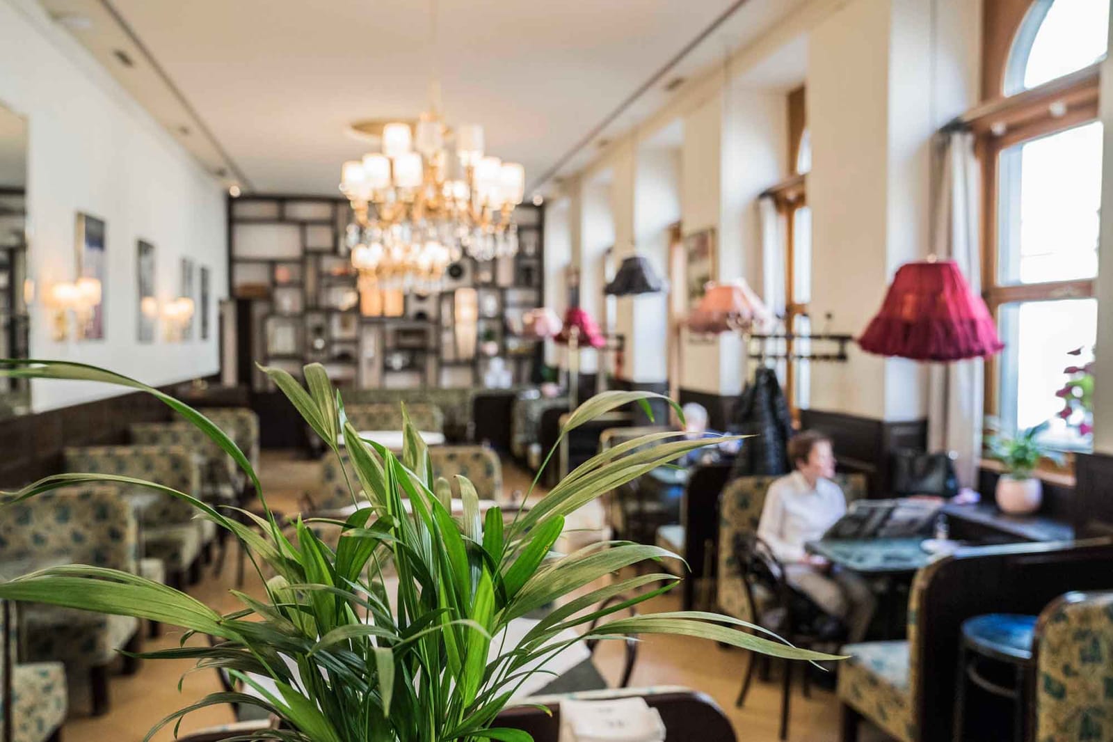 Café Weimar photo 6