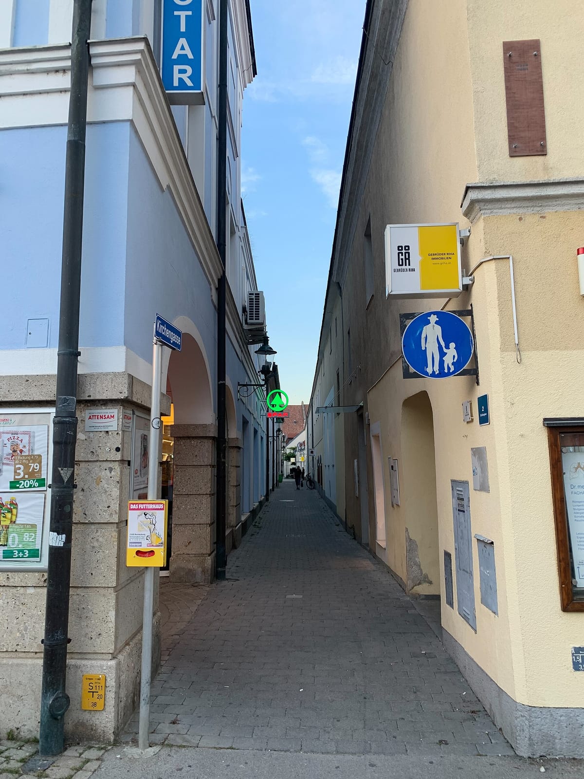 Geier photo 3