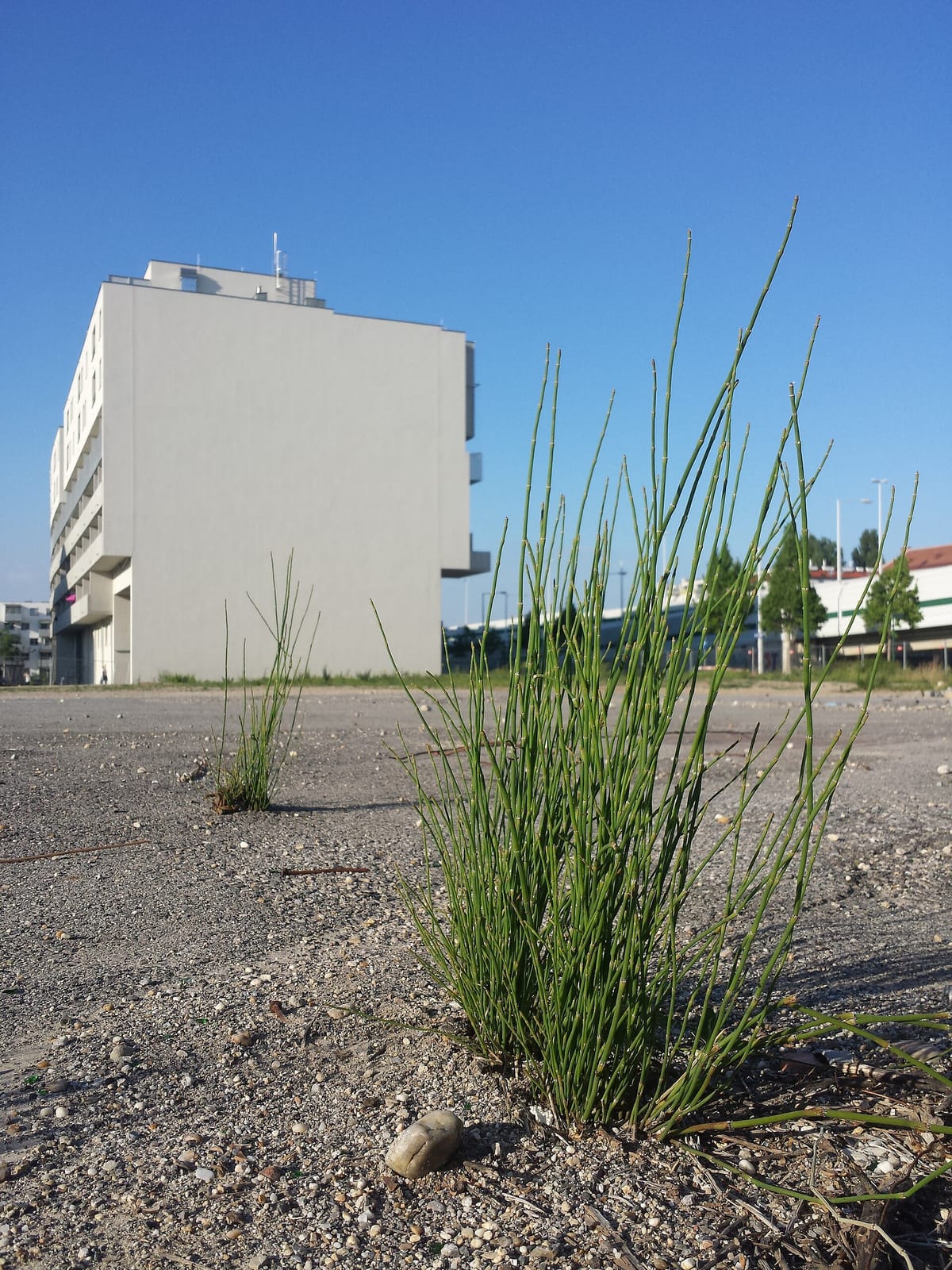 Eissalon Benner photo 4