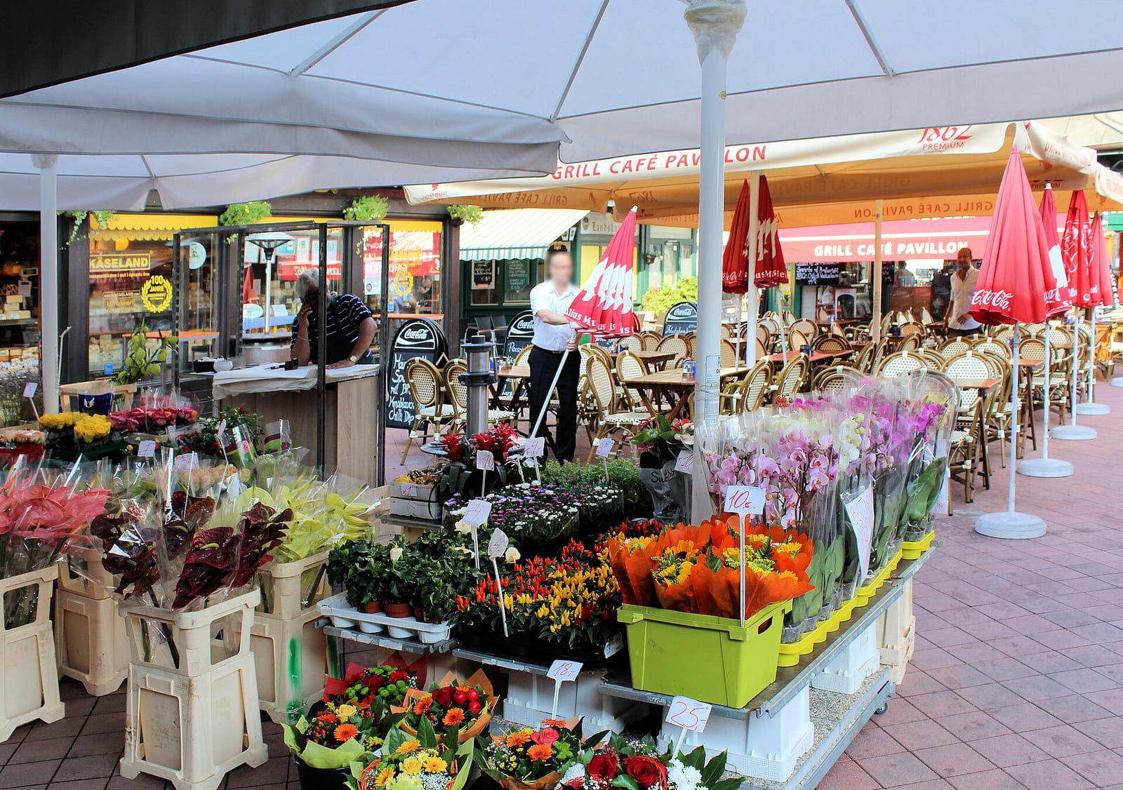 Cha No Ma