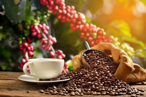 Mein Kaffee photo 3