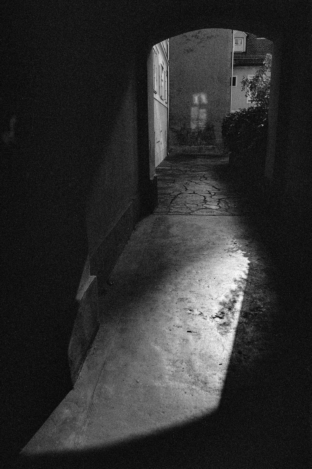 Martin Auer photo 4