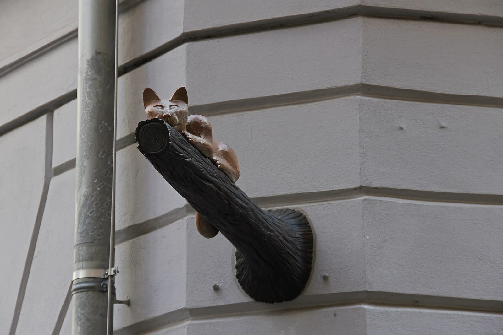Cafe Neko photo 12