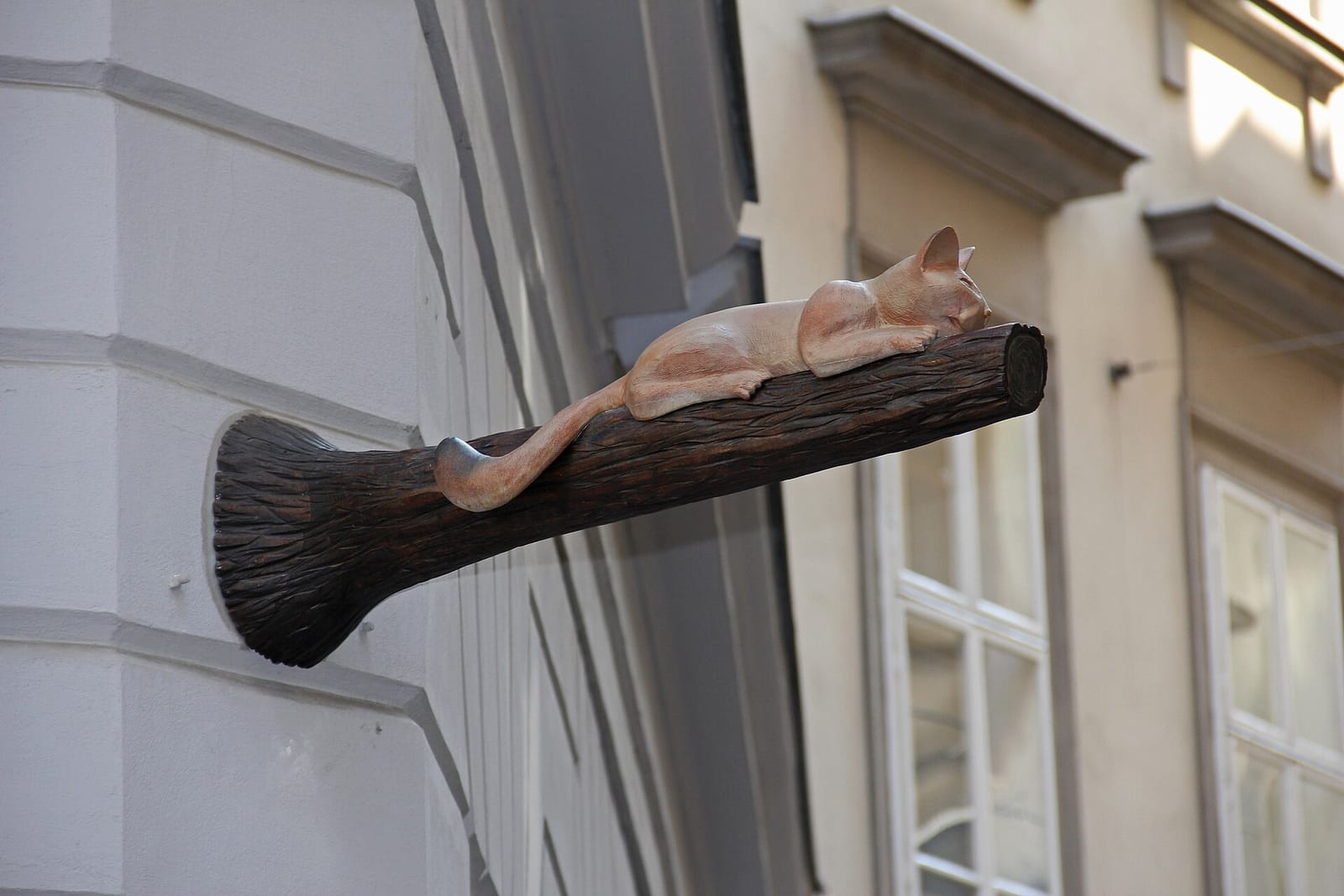 Cafe Neko photo 13