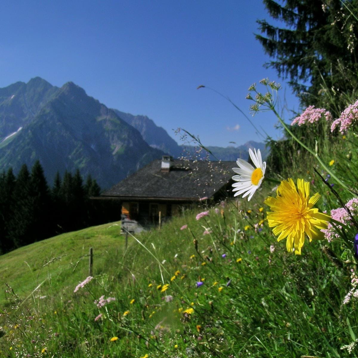 Zur Post photo 6