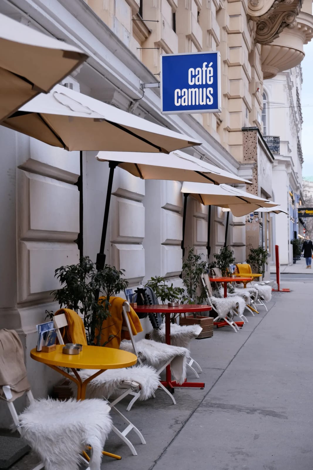 café camus photo 2