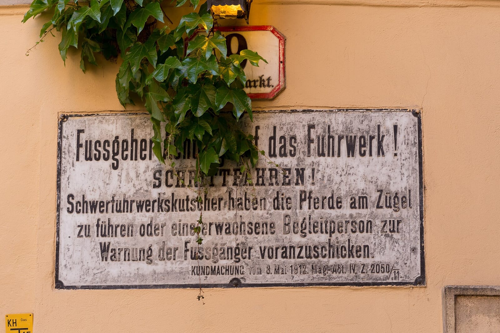 Diglas photo 2