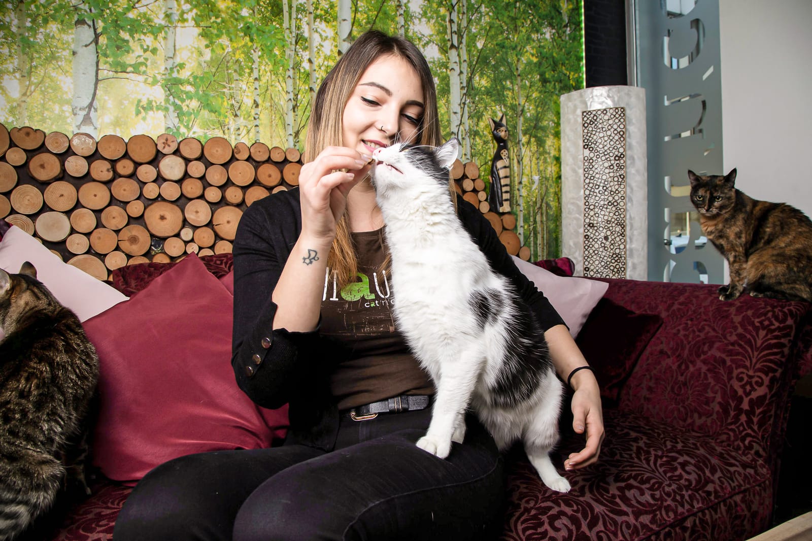 cat'n'coffee photo 2