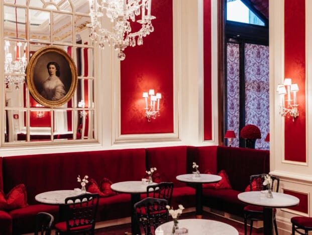 Café Sacher Wien photo 9