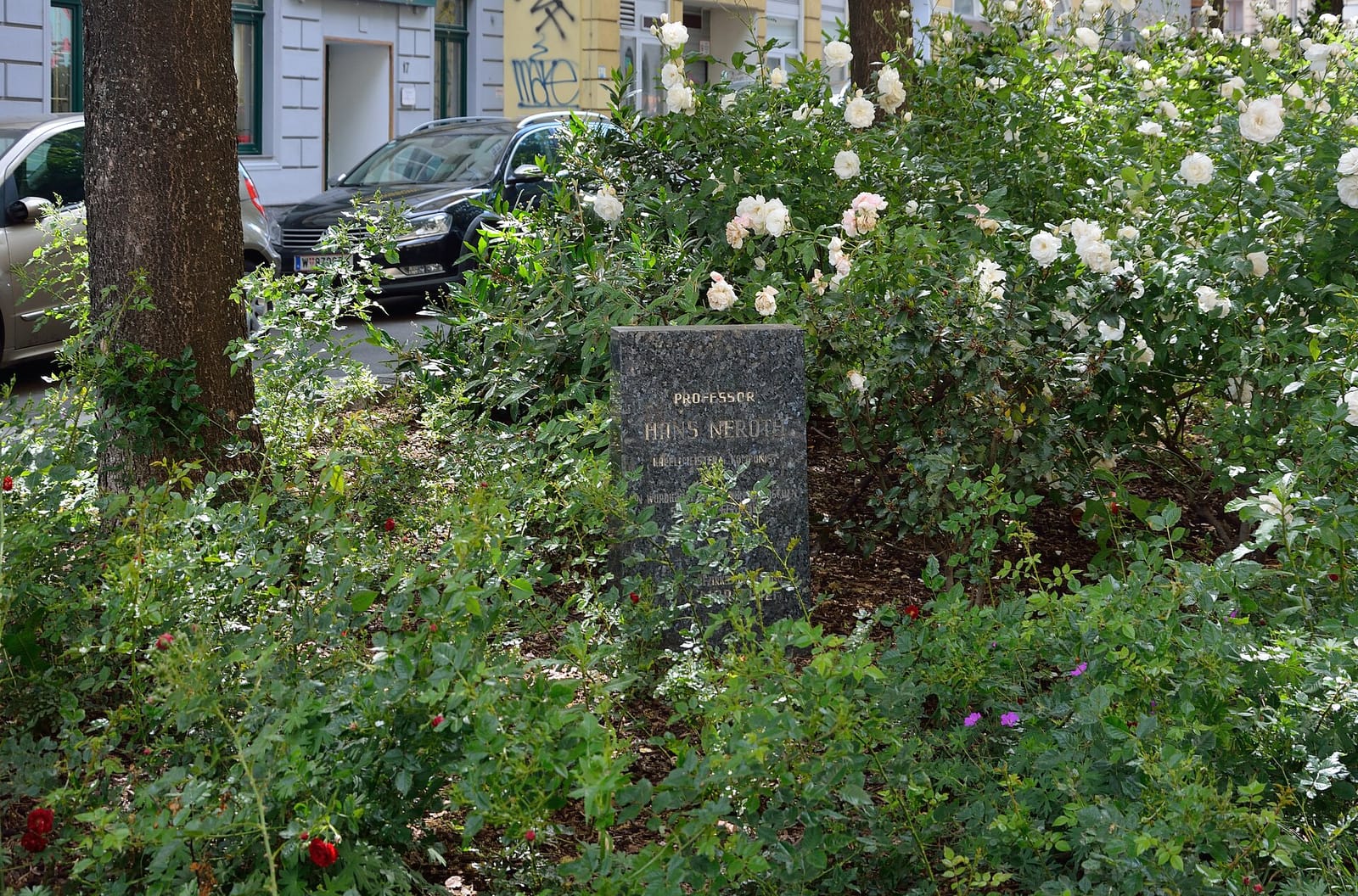 Cafe Girardi photo 2