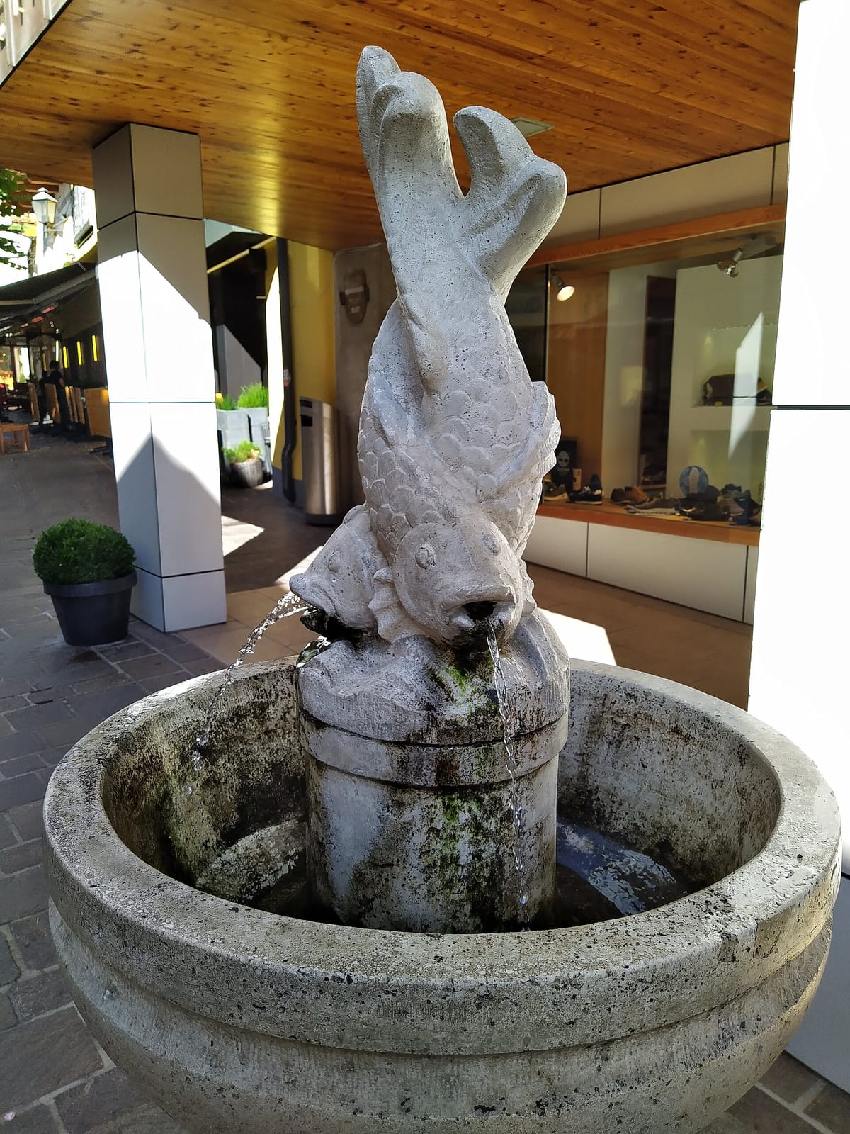 Seegasse photo 2