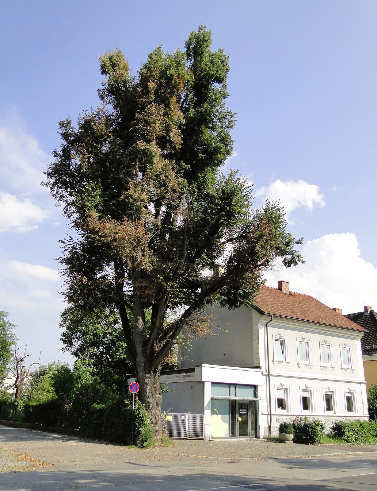 Konditorei Fahrnberger GmbH