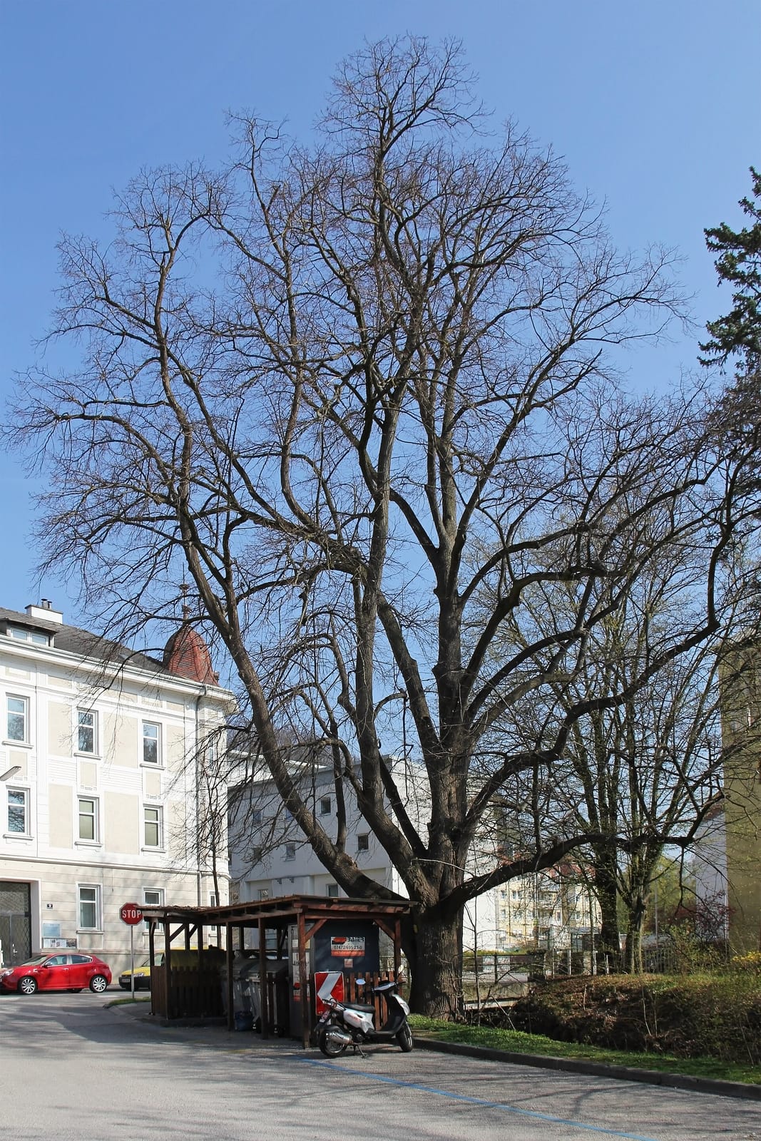 Cafe Seitenblicke photo 3