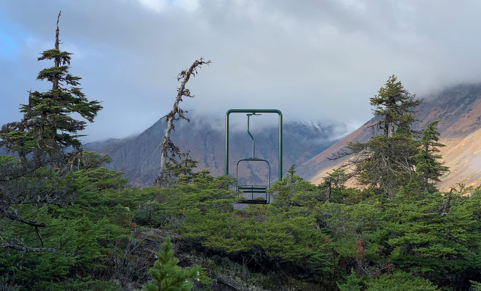 Chugach Mountain Roasters photo 6