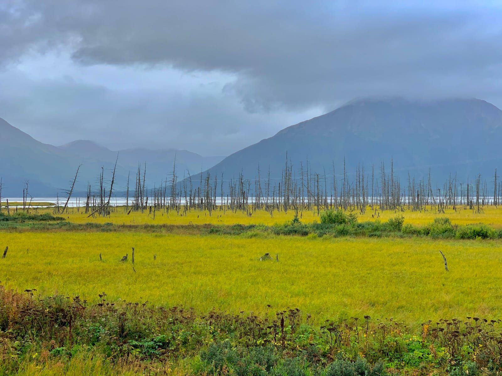 Chugach Mountain Roasters photo 2