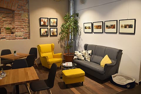 Tratschcafe photo 3