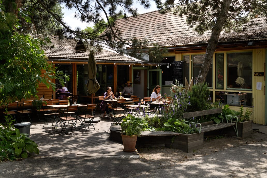 Café Schillwasser photo 4