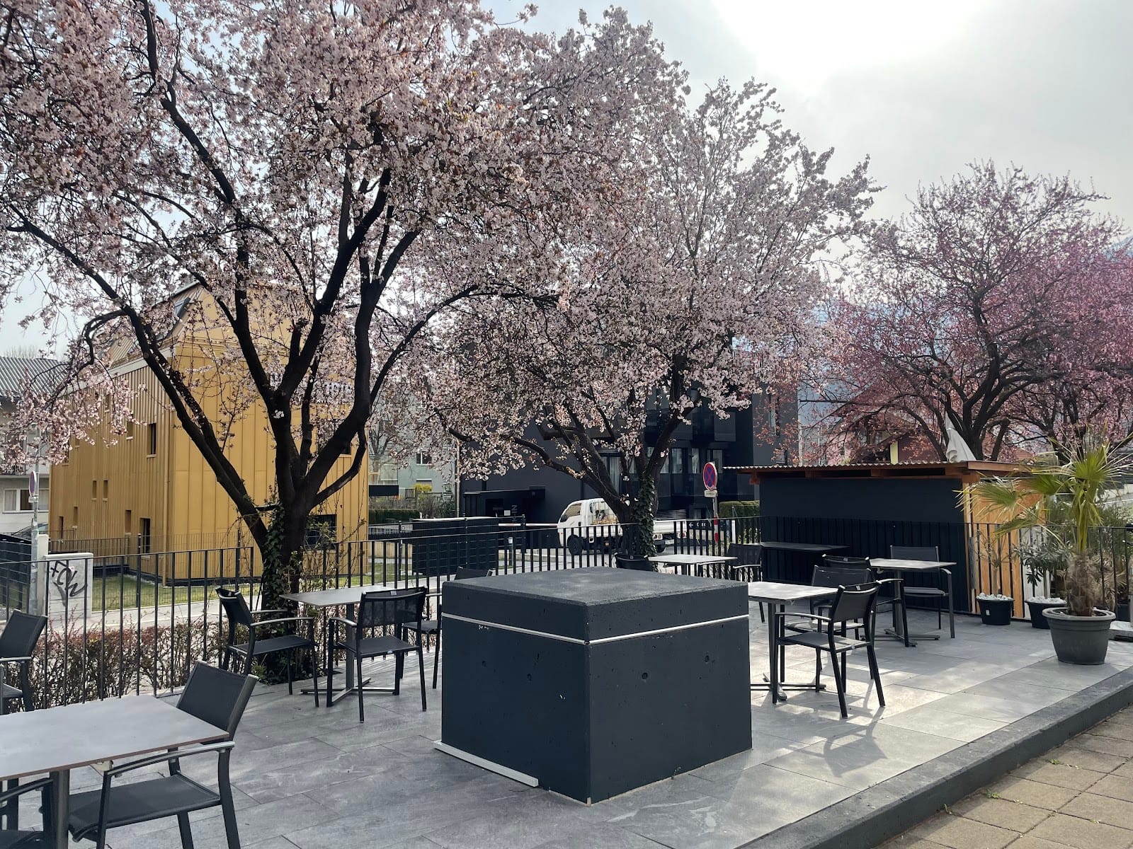 Cafe Design