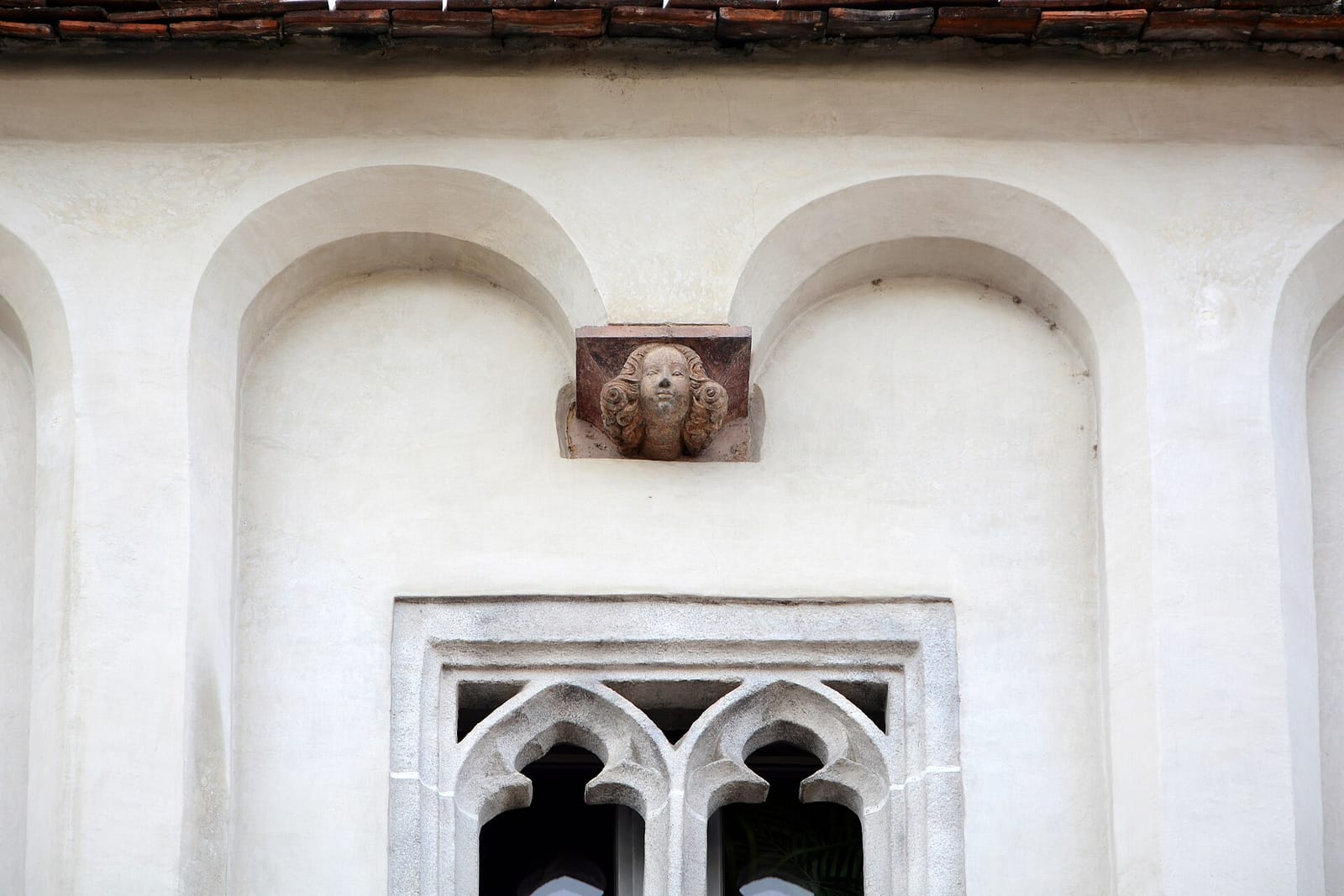 LEOPOLD Steyr photo 2