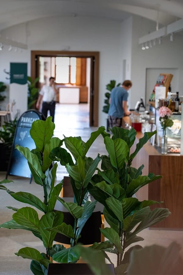 Parkcafé im unteren Belvedere photo 2