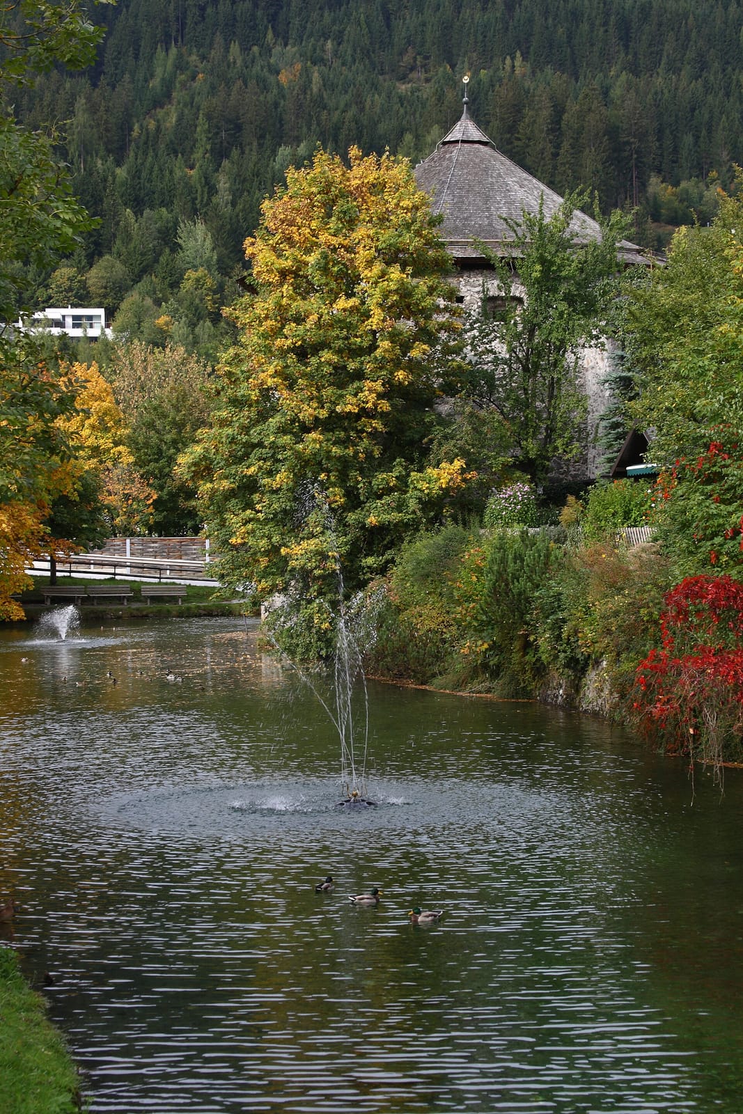 Stadtbäckerei Radstadt photo 4
