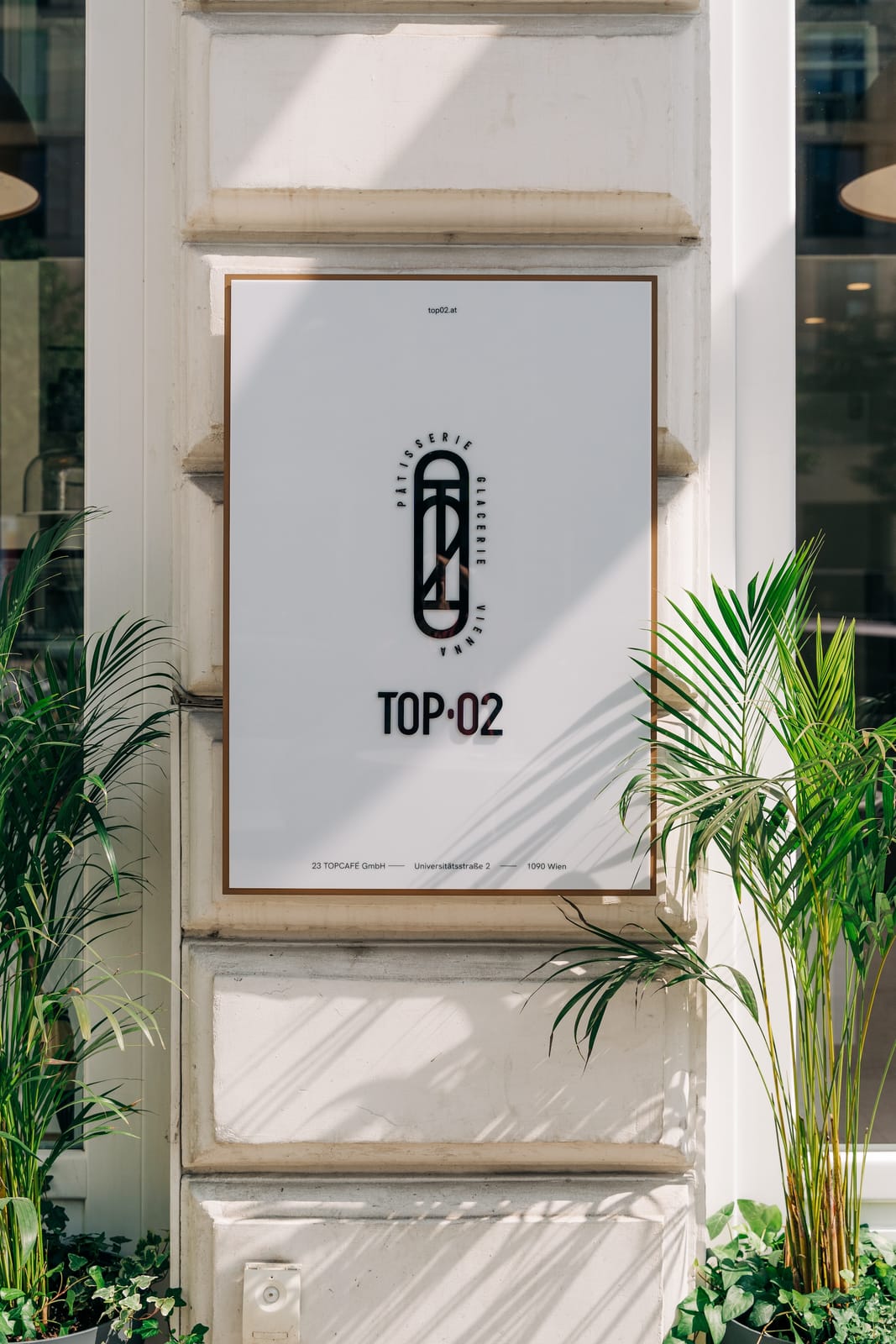 Top 02 photo 6