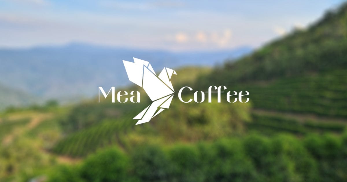 Mea Specialty Coffee photo 2