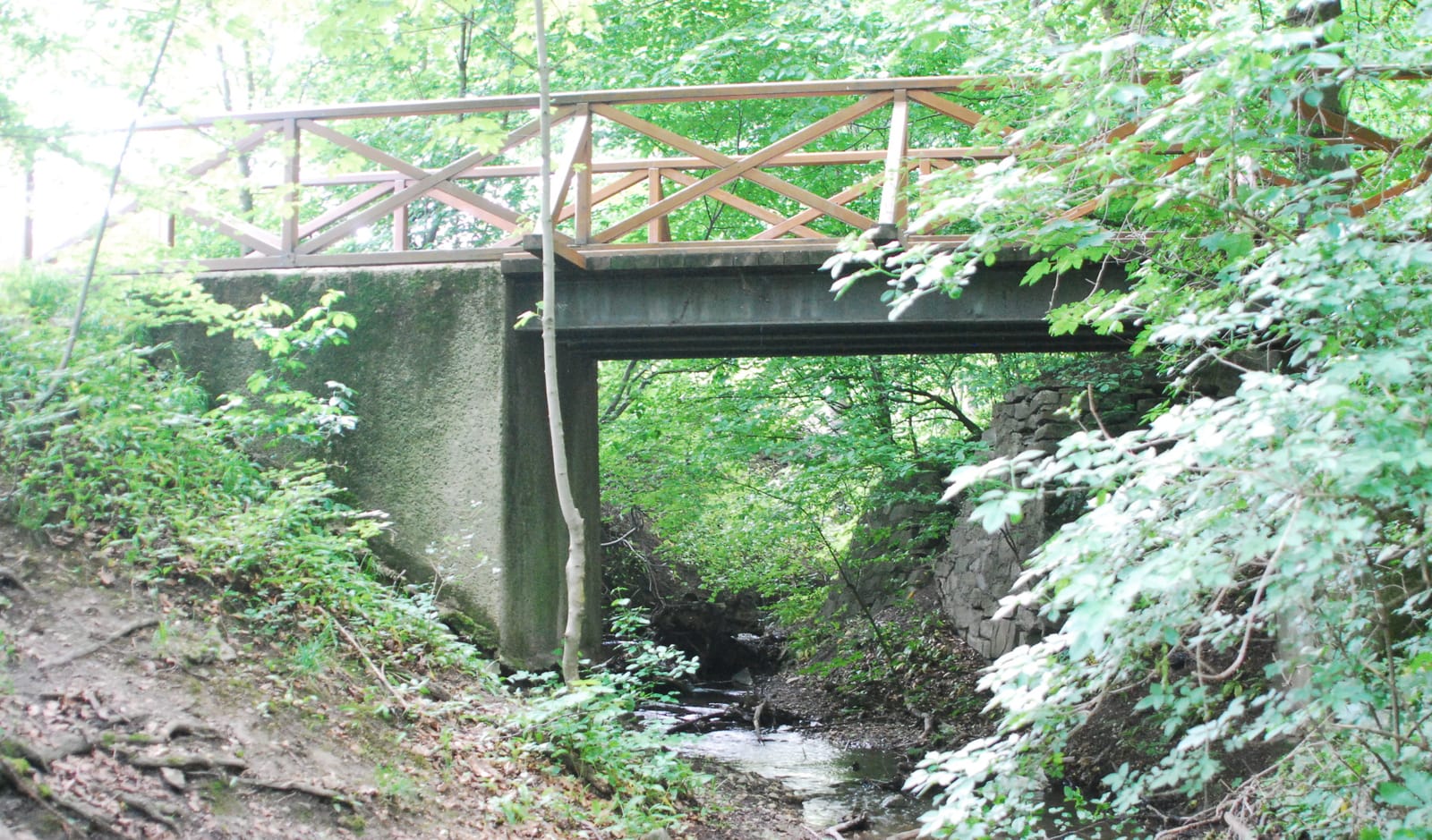Manameierei photo 3