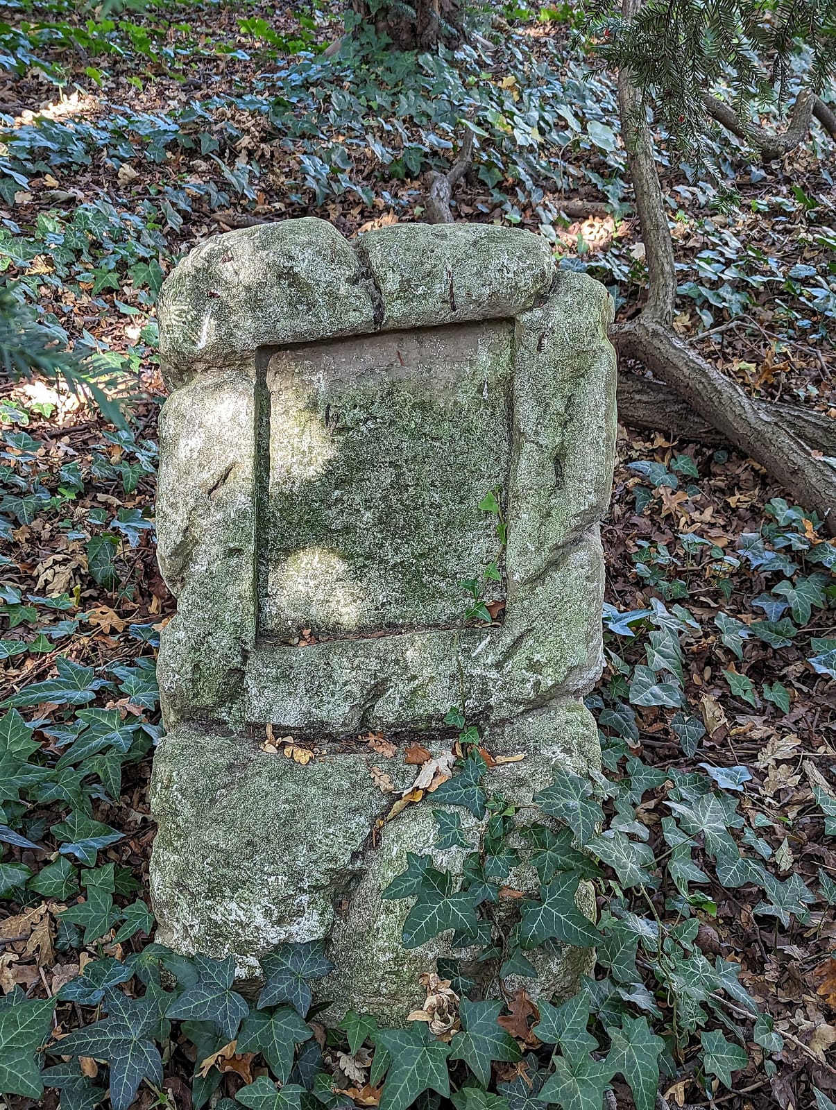 Laus & Maus photo 2