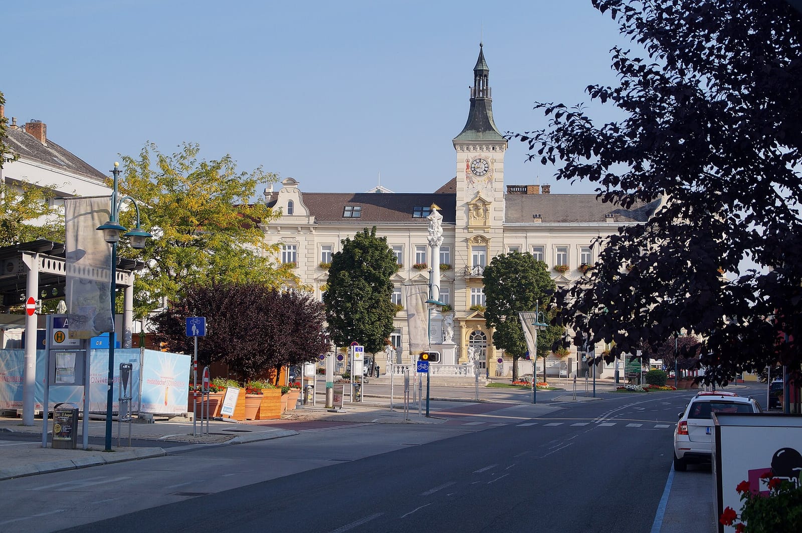 Geier photo 2