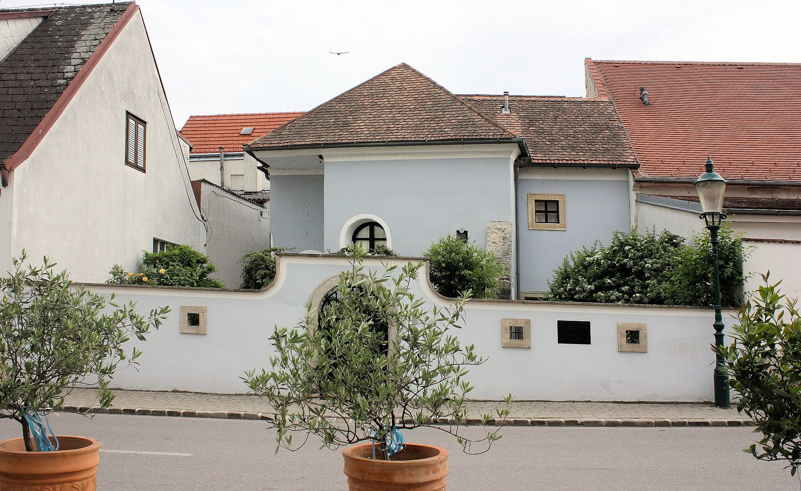 Café Seehof photo 4
