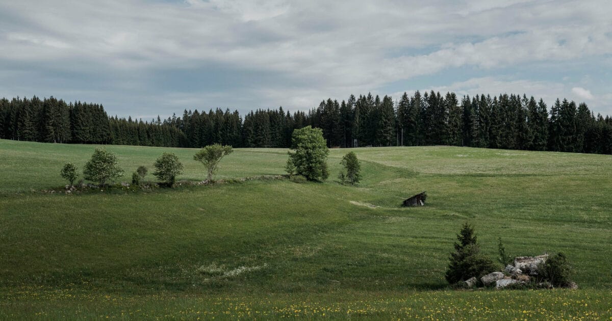 Honeder Naturbackstube photo 2