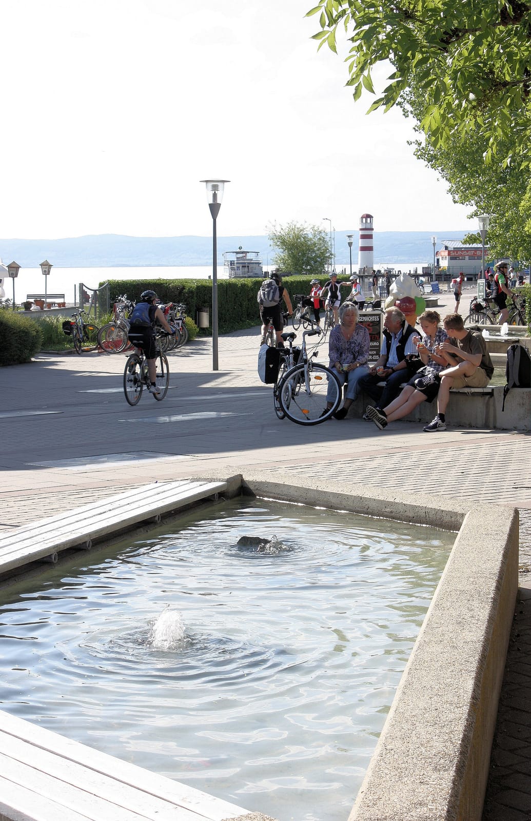 Café Promenade photo 3