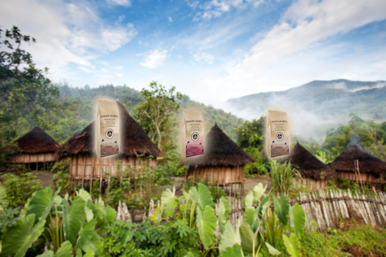 Niugini Arabica photo 6