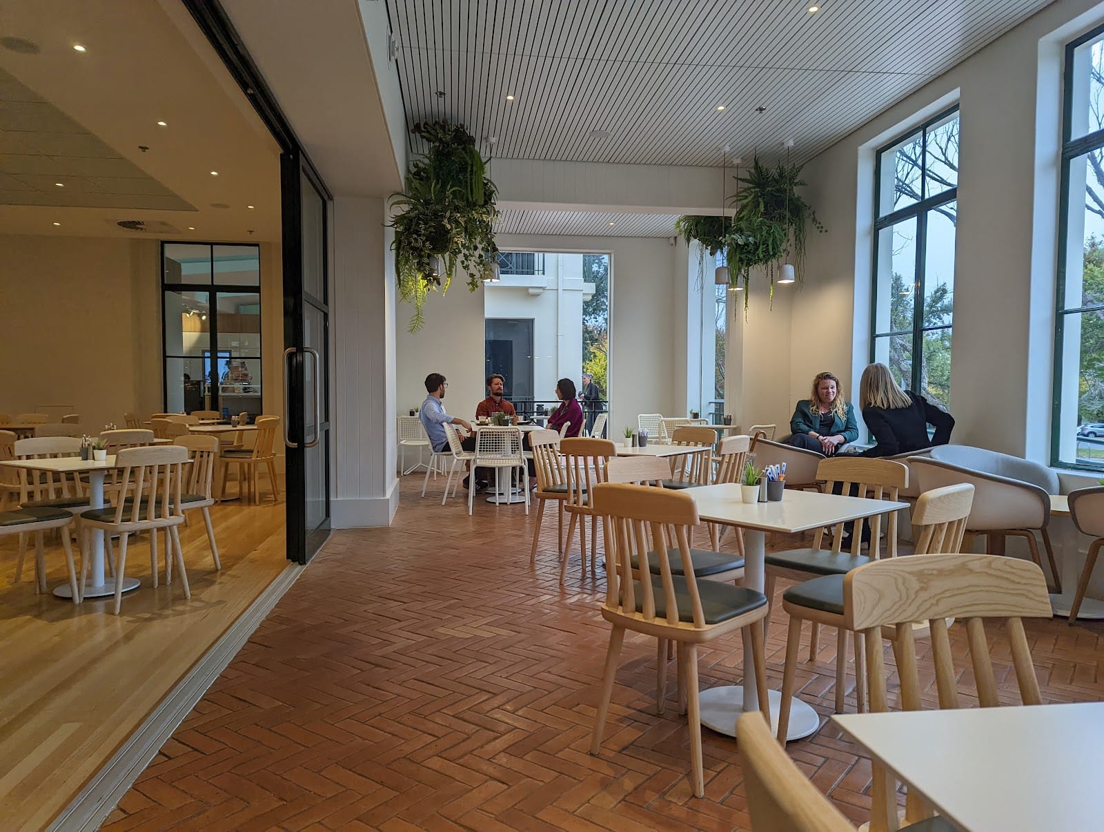 Cafe Constitution