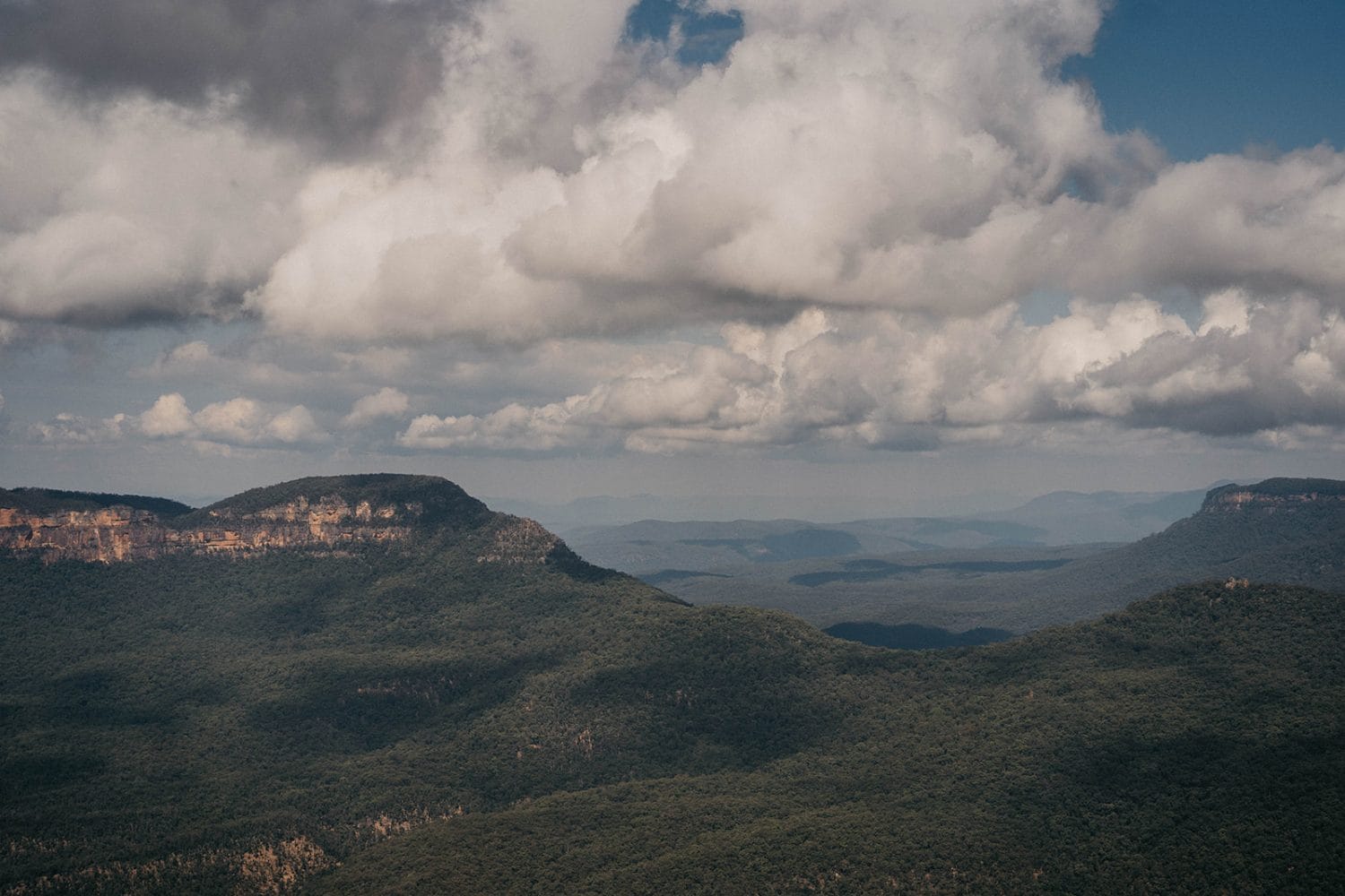 Milkbar at the Lookout photo 5