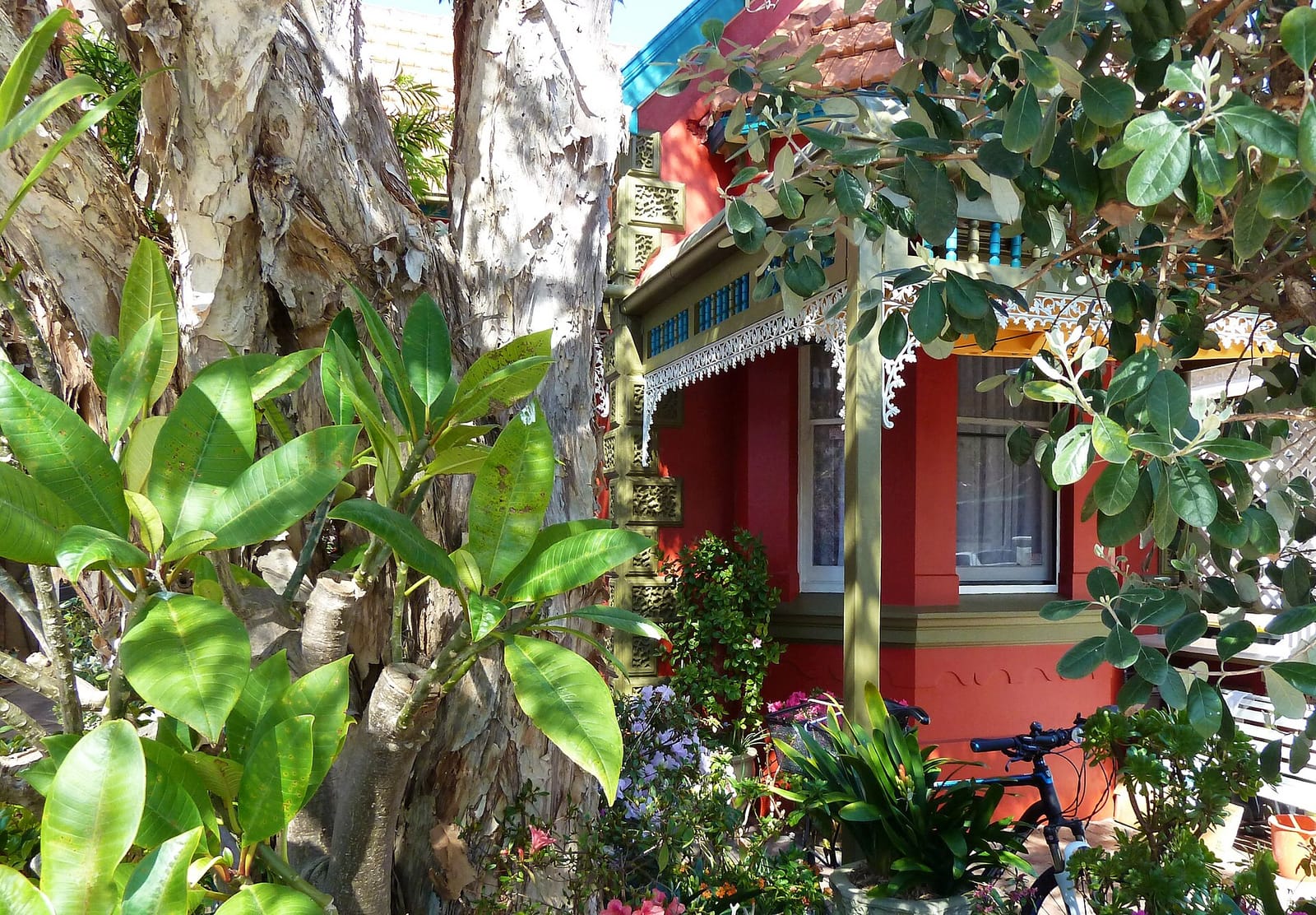 The Bower Manly photo 4