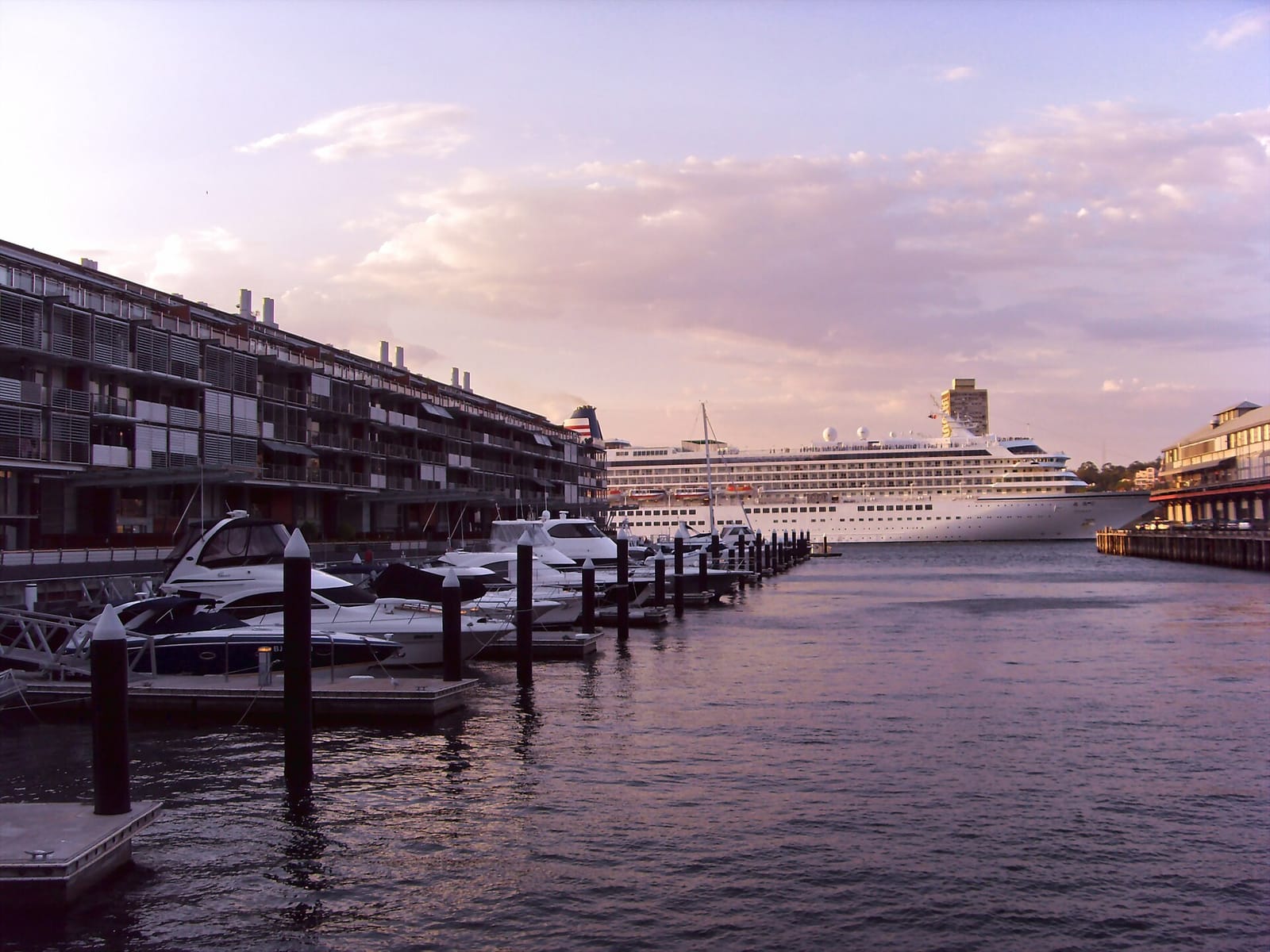 BarCycle Walsh Bay photo 5