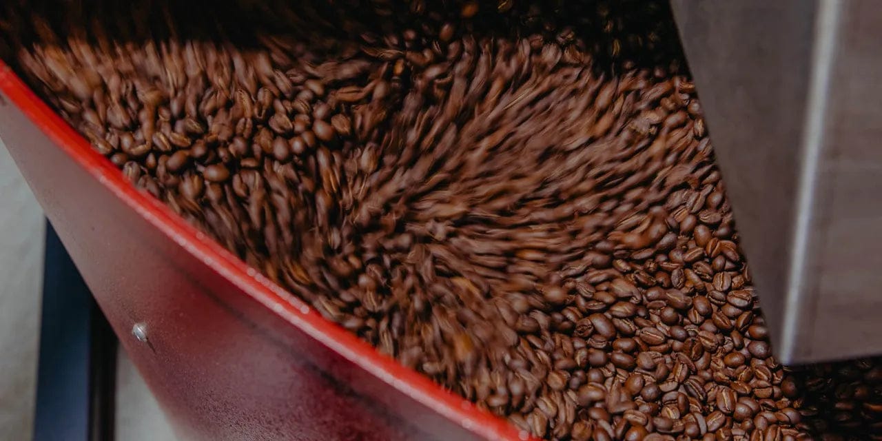 Byron bay coffee company photo 2