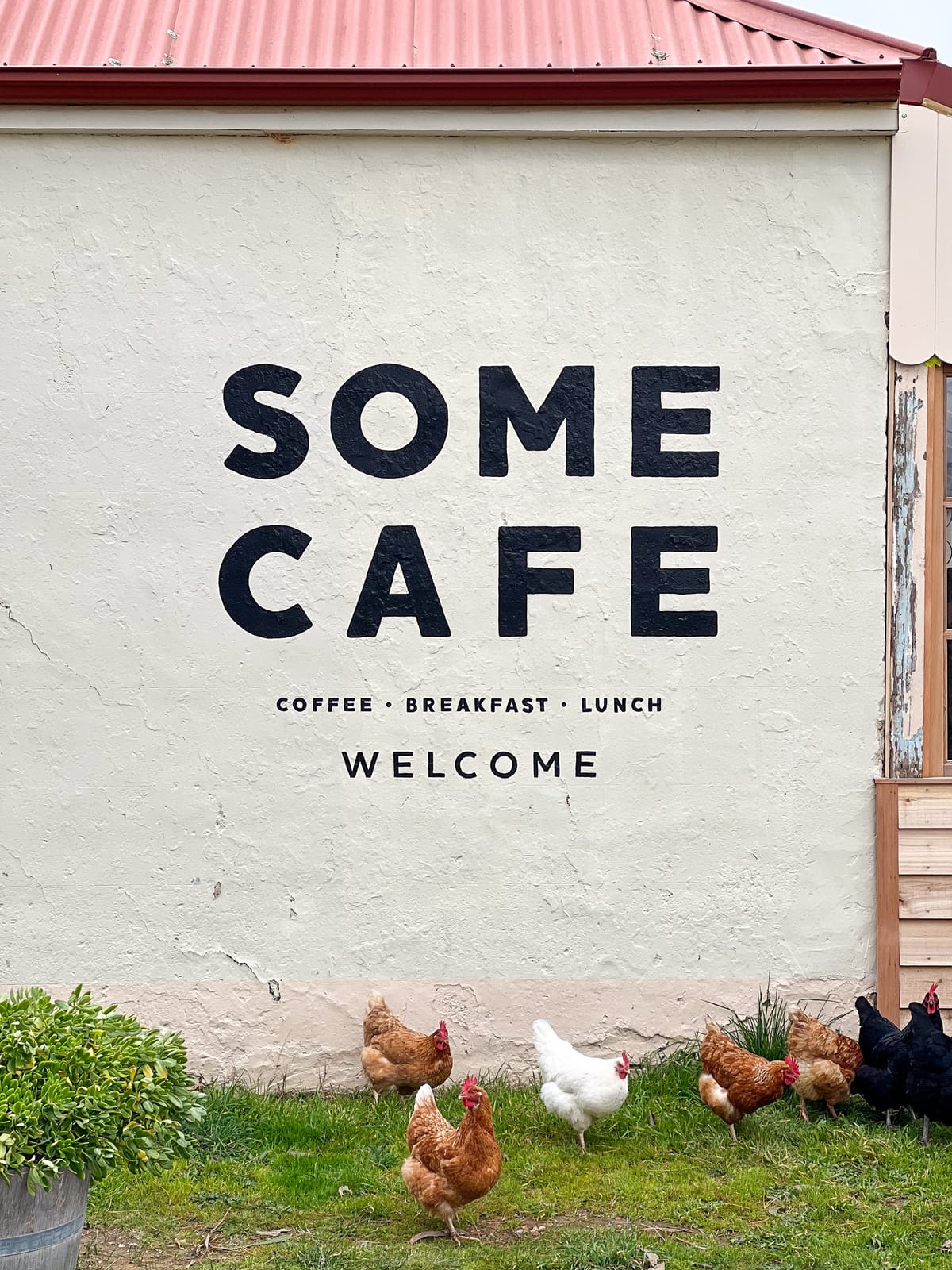 Some Cafe