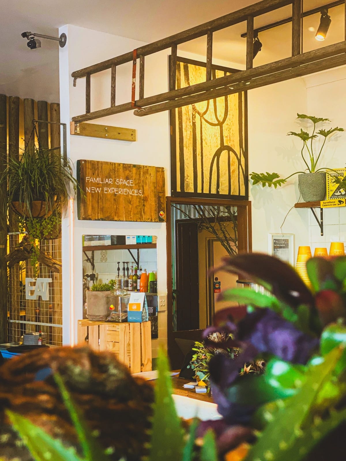 Cafe Lurline photo 2