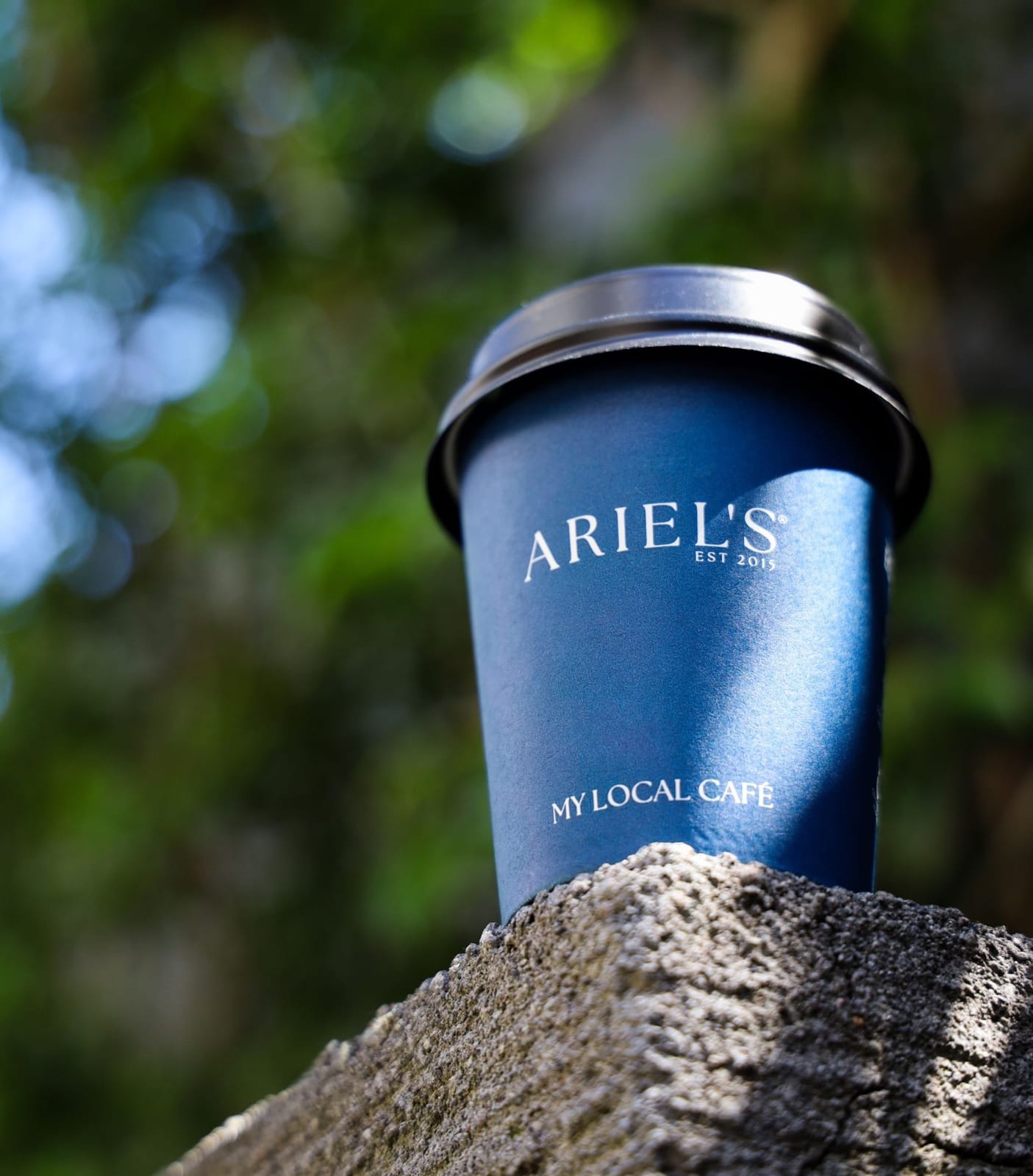 Ariel's Wollongong photo 2
