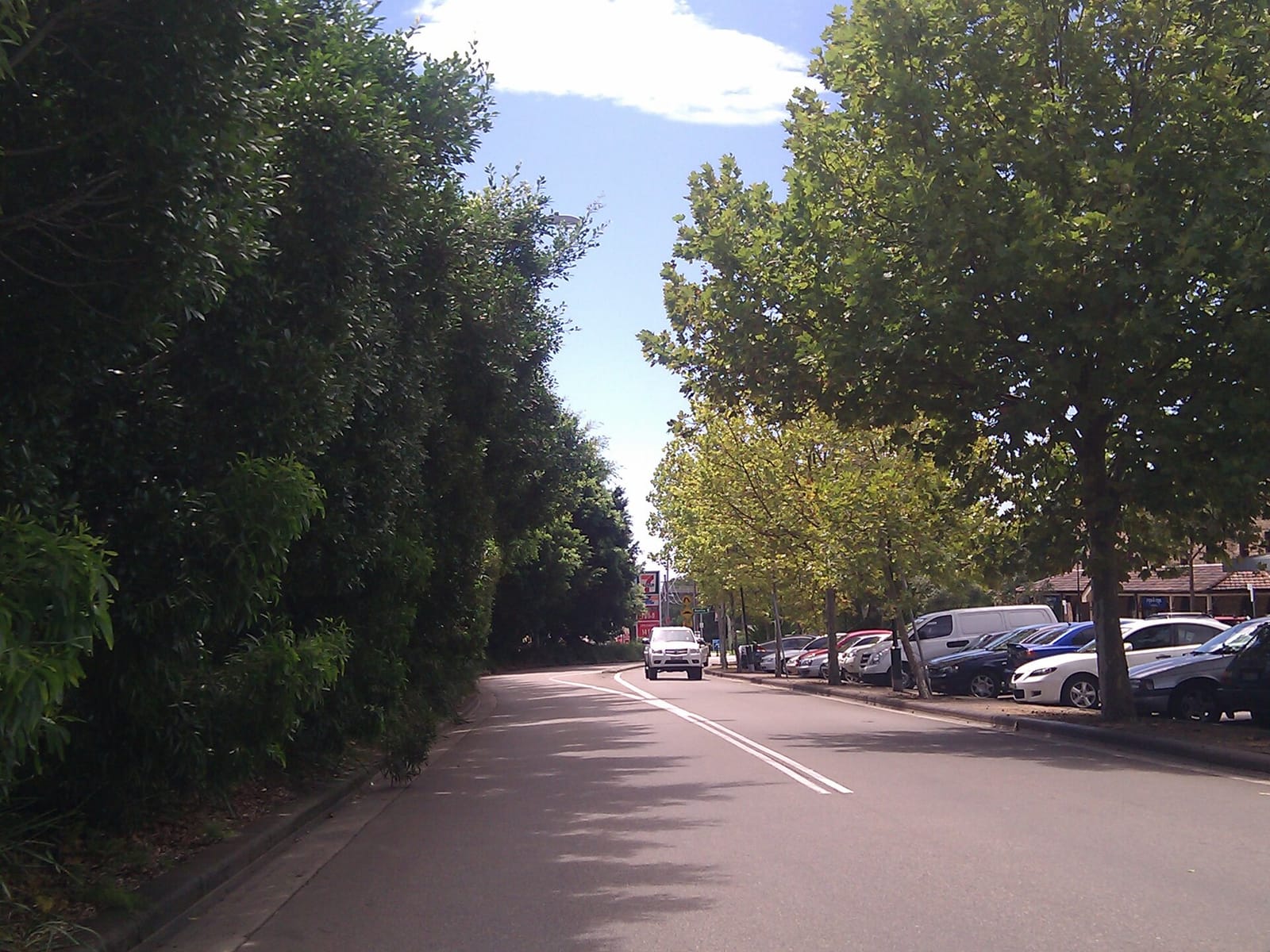 Eliette photo 4