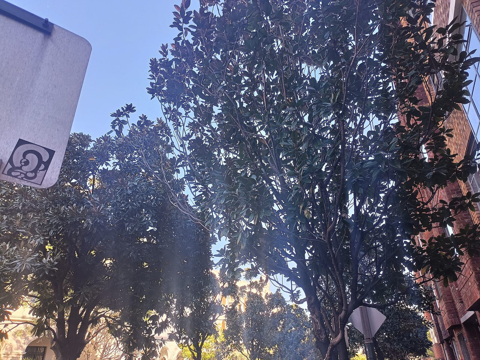 La Bomba