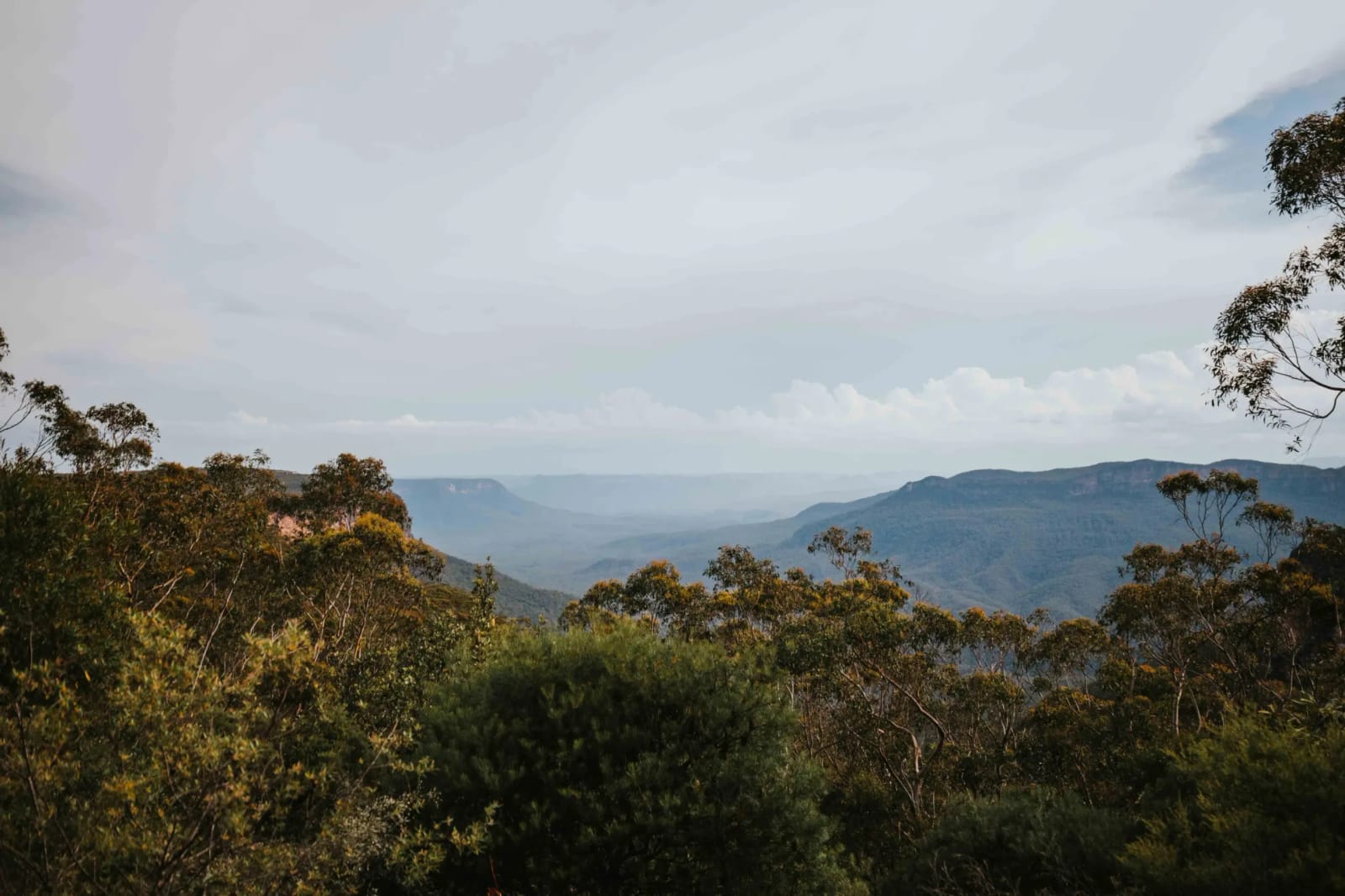 Conservation Hut photo 3