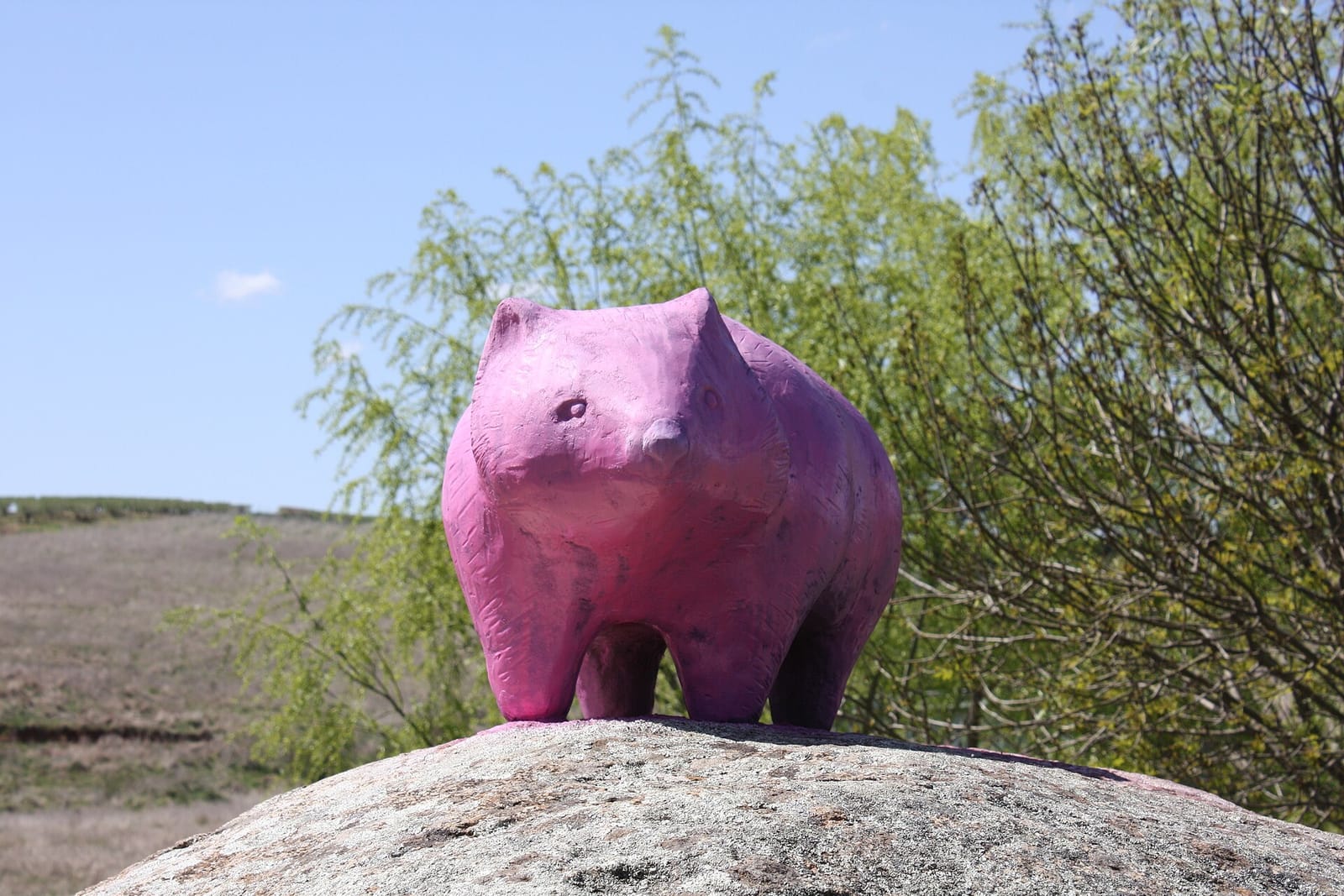 Wombat Cottage Cafe